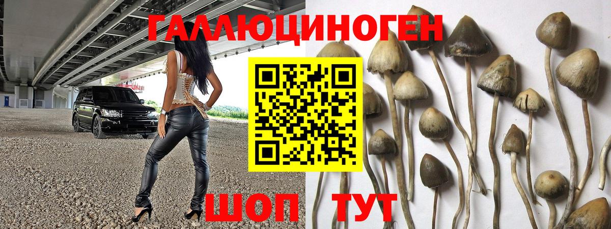 Псилоцибиновые грибы мицелий  Вход с VPN  Галлюциногенные грибы Cubensis  Славянск-на-Кубани 