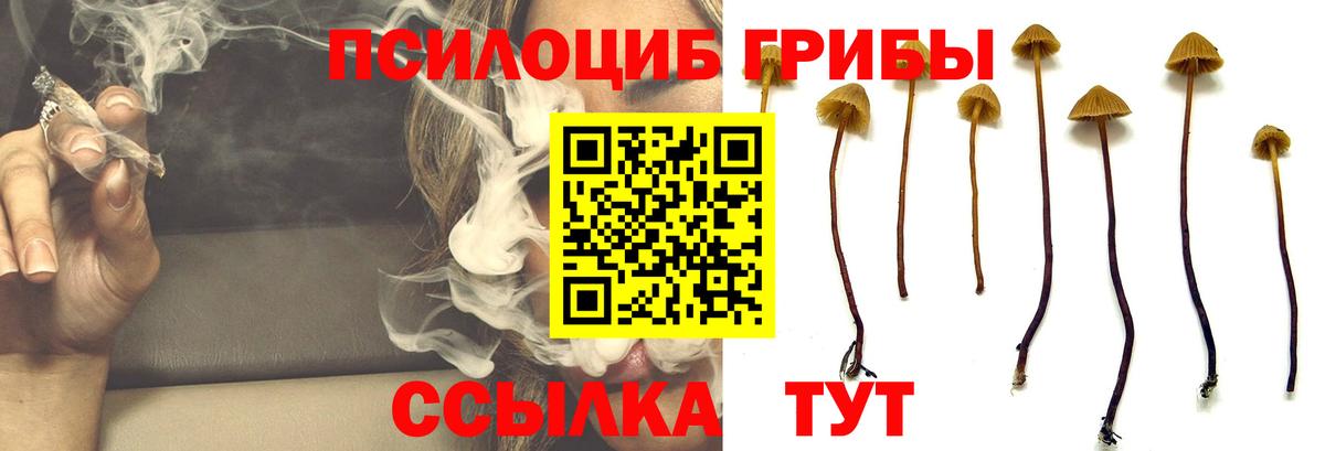 Галлюциногенные грибы мицелий Славянск-на-Кубани